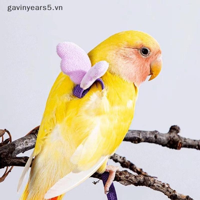 # gavin # Pet Parrot Bird Harness Wing Flying Rope Straps Dây kéo huấn luyện ngoài trời Dây kéo có thể điều chỉnh Dây kéo ngoài trời Đồ dùng cho thú cưng.