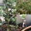 Yoo Có Thể Điều Chỉnh Thực Vật Kẹp Dụng Cụ Tập Thân Cây Có Thể Tái Sử Dụng Thiết Kế Linh Hoạt 360 Độ Cho Người Làm Vườn Và Làm Vườn