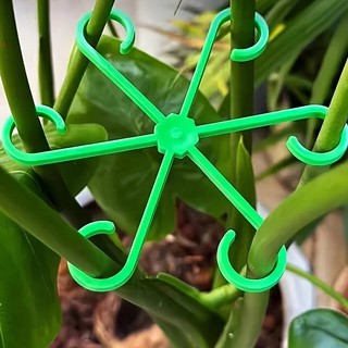 4 / 8 Chiếc Hộ Gia Đình Trong Suốt Thân Hỗ Trợ Alocasia Monstera Lá Hỗ Trợ Cây Nho Kẹp Dụng Cụ Làm Vườn