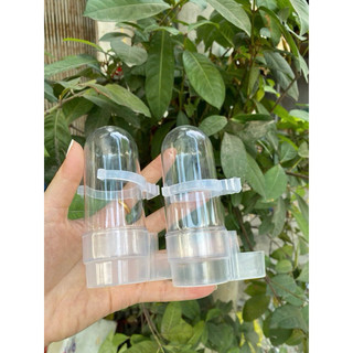 Bình uống nước tự động chất liệu mica   phụ kiện lồng chim chào mào, chích choè cao cấp