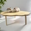 COSCOVED Hamster Platform, Gỗ Vui Nhộn Thú Cưng Nhỏ Chơi Đứng, Đồ Chơi Chuột Hình Quạt Bàn Nhảy Ban Sân Chơi Hamster Leo Núi Đồ Chơi Phụ Kiện Lồng