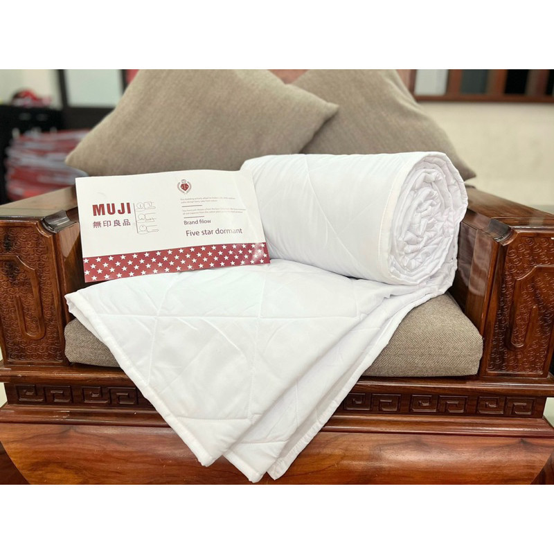 (CH16)Ruột chăn mền cao cấp Mềm Mịn Bedding, chăn mền hè, thu đông, chăn phao dày đại hàn kích thước 2mx2m2
