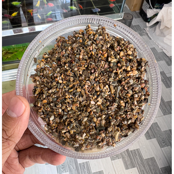 Sạn Suối Thiên Thiên Trang Trí Bể Cá, Tiểu Cảnh, Bể Thủy Sinh (Túi 500gram)
