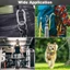 Liên kết nhanh WOODNEST, Kẹp Carabiner khóa hình chữ D hạng nặng, Móc khóa liên kết chuỗi hình bầu dục bằng thép không gỉ 304