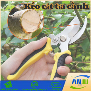 Kéo cắt tỉa cành, kéo cắt tỉa cây cảnh,Trọng lượng nhẹ Kéo làm vườn Kéo cắt tỉa Tỉa cây Kéo hái trái cây