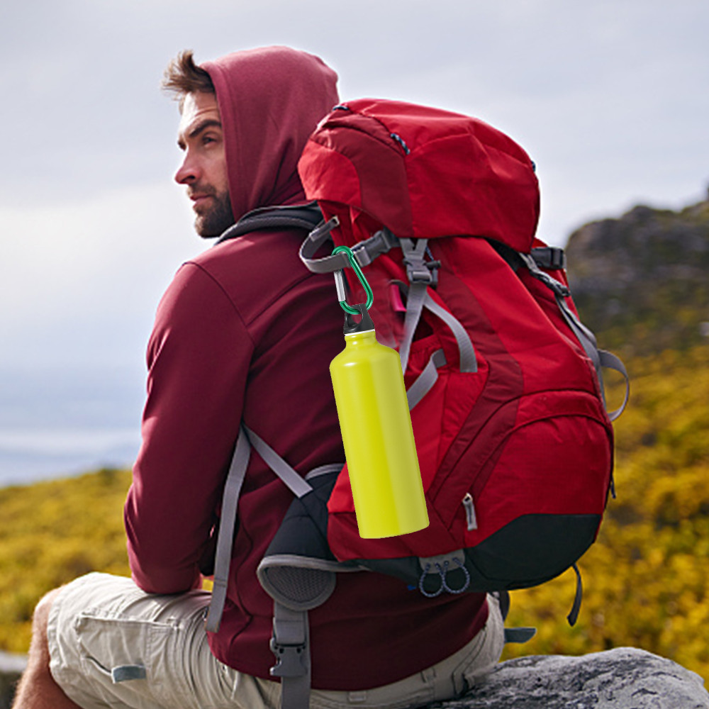 Hợp kim nhôm Lò xo Snap Carabiner Móc khóa liên kết nhanh - Móc khóa leo núi ngoài trời Chuỗi thú cưng