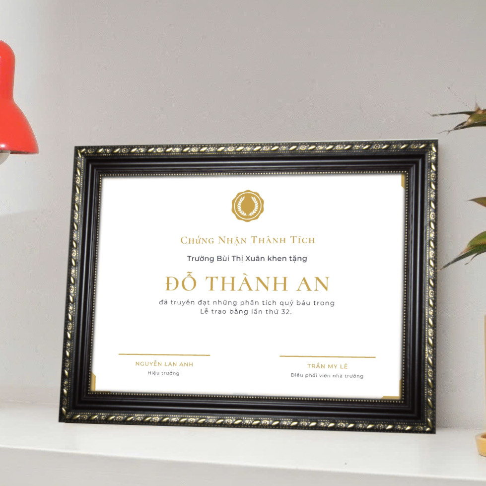 Khung Ảnh - Khung Bằng Khen 21X30cm(A4) /25x35cm(B4)/ 30x42cm(A3) Viền Cổ Điển Treo Tường Để Bàn NS