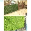 Tấm hàng rào lá xanh nhân tạo Ivy Hedge Màn hình hàng rào bảo mật giả cho gia đình Trang trí ban công sân vườn ngoài trời 0,5X3m [BK]