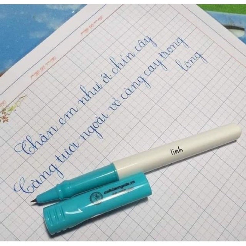 Bút máy Ánh Dương SH068 pro lá tre, thanh đậm, thư pháp.