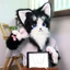 Găng tay trang phục cosplay FUZOU, Găng tay chân mèo sang trọng Kig, Găng tay làm dày dễ thương Phim hoạt hình ấm áp móng vuốt mèo Mittens Cosplay Đạo cụ