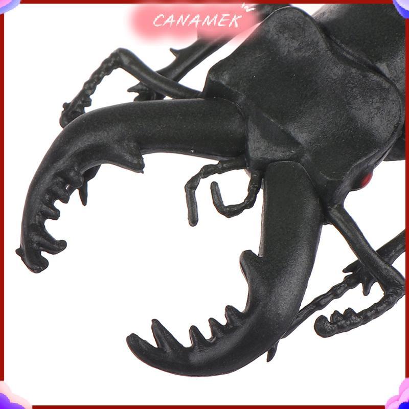 CANAMEK Mô phỏng bọ cánh cứng đồ chơi mô hình đặc biệt giống như thật đồ chơi côn trùng hỗ trợ giảng trò đùa CSF