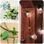80 Chiếc Cây Leo Tường Cố Định Kẹp Cây Cố Định Cây Nho Vườn Lá Xanh Cây Treo Tường Cây Nho Giá Đỡ Để Trang Trí Tường