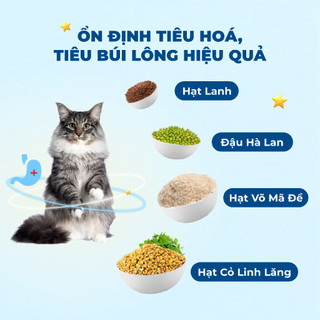 Hạt Cho Mèo MRVET 1kg Holistic Với 30% Protein Kèm Topping
