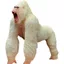 Đồ chơi mô phỏng động vật King Kong Gorilla Lớn Tyrannosaurus Rex Mô hình Búp bê khủng long Hình trẻ em Quái vật cậu bé