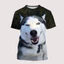 Áo Thun Hình Chó Husky Malamute 3D, Cổ Tròn Phù Hợp Dạo Phố, Dành Cho Mọi Lứa Tuổi