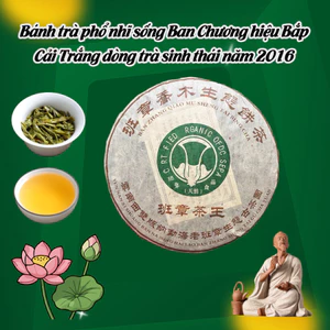 BÁNH TRÀ PHỔ NHĨ SỐNG BAN CHƯƠNG 357 GRAM HIỆU BẮP CẢI TRẮNG DÒNG TRÀ SINH THÁI NĂM 2016