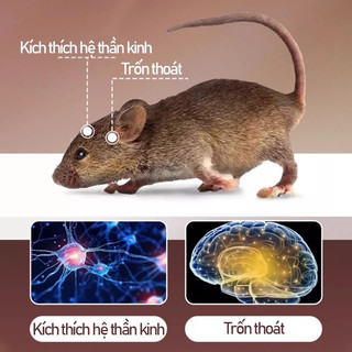 MiraLife Viên đuổi côn trùng chuột cho nội thất ô tô và nhà bếp Hiệu quả mạnh an toàn