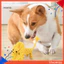Đồ chơi cho chó dây hình động vật bền bỉ - Cà rốt nhai Tug of War dành cho chó nhỏ vừa chơi chó con ngoài trời trong nhà Giữ chó bận rộn và tham gia Đồ chơi nhai cho chó