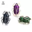 Trâm cài cánh cứng men vintage lady-style với họa tiết động vật/côn trùng, phù hợp làm phụ kiện cho áo sơ mi nữ