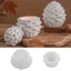 Bộ Khuôn Silicon Hìnhpinecone Độc Đáo Với Nắp Gồm Hộp Nhựa Cho Thủ Công