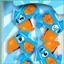 Trò chơi cân bằng Chiến lược vui nhộn Đồ chơi Thiết kế chim Trò chơi xếp chồng để phối hợp mắt tay Mẫu giáo Ngày lễ tại nhà sonlekvn