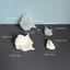 Ở Lại Silicon Bảo Quản Khuôn Hình Conch với Nắp Đậy - Khuyến khích Sáng Tạo