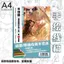 4.13 Tình Yêu Và Không Gian Sâu Shen Xing Hui Hàng Hóa Vẽ Tay Truyện Tranh Vẽ Tay Hai Chiều Graffiti Vẽ Tranh Copybook A4 HD