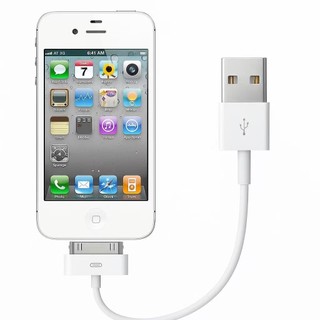 Dây 30 Pin Adapter Phụ Kiện Nano Cảm Ứng Sạc Cáp Dữ Liệu USB Sạc Cho 4 4S 3G 3G Ipad 1 2 3 Ipod Điện Thoại Di Động