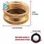 Nắp cuối ống làm vườn cho nữ, Nắp Spigot bằng đồng thau có thêm 12 vòng đệm, 3 / 4 Inch, 4 gói