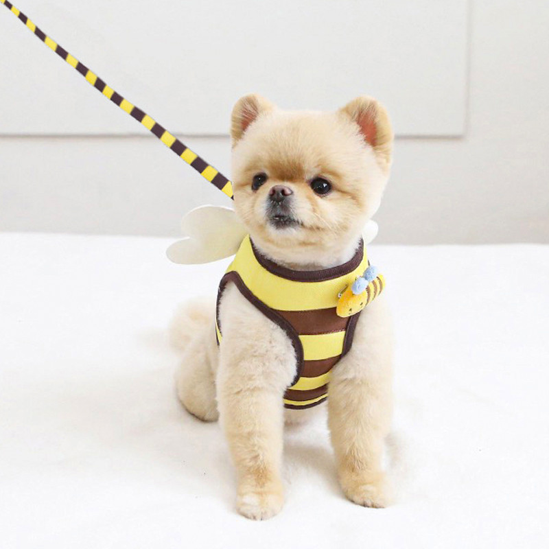 [Pet-Eleven] Hàn Quốc🇰🇷Little Bee Pet Dây đeo ngực Dây xích chó dễ thương Dây đeo ngực thú cưng Dây đeo ngực mèo Dây đeo ngực cho chó Dây xích mèo Dây đeo ngực thoáng khí Dây xích đi chơi Dây xích mèo / Chó nhỏ / Pomeranian Teddy Schnauzer