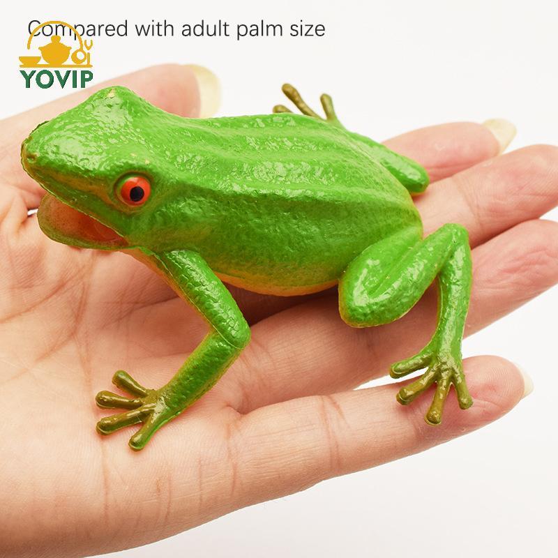 YOVIP Mô Hình Động Vật Ếch Giả Đồ Chơi Bóp Âm Thanh Đáng Sợ Cho Trẻ Em Sở Thích Bộ Sưu Tập VN