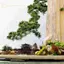 Ge Trung Quốc Inn Tượng Mô Hình Xây Dựng Cổ Thu Nhỏ Nhật Bản Pavilion Trang Trí Thu Nhỏ Vườn Thiền Bể Cá Cảnh Đồ Trang Trí n