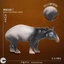 Thế giới động vật ma thuật cho trẻ em Đồ chơi Tapir Mã Lai Mô phỏng nhận thức Mô hình sinh học tiền sử Thời đại cổ Vườn Khoa học phổ biến