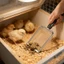 Gói 2 Muỗng Phân Gia Cầm Bằng Thép Không Gỉ Nhẹ Và Tiện Dụng Để Bảo Trì Coops Nhanh