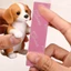 7 / 14 / 21 Miếng Dán Xốp Giấy Nhám Cao Cấp Hai Mặt 7 Mảnh, Dụng Cụ Đánh Bóng Tinh Tế Cho Các Mẫu DIY Với Sử Dụng Ướt / Khô, Có Thể Giặt Được Có Thể Tái Sử Dụng Cho Các Bức Tượng Và Thủ Công