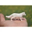 Đồ chơi mô hình động vật hoang dã mô phỏng Sile Arctic Fox White Fox 2018