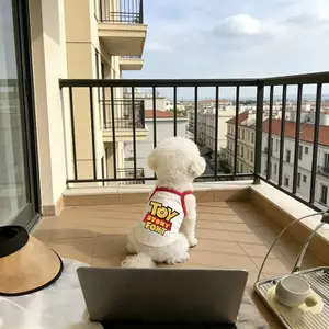【Ready Stock】 Internet Celebrity Puppy Dog Vest Summer Not Stuffy Sweat Second Glance Rate Hot Watch Labrador Teddy Corgi Shiba Inu Snow Rena tJUZ
