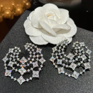 Bông tai Zircon tinh tế thời trang tua rua
