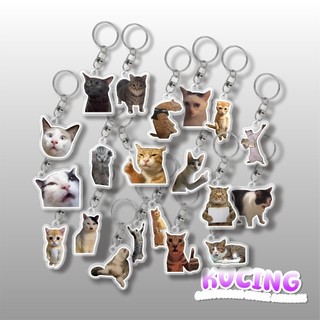 Meme Móc chìa khóa hình mèo Móc Chìa Khóa Acrylic vui nhộn Mèo mèo akmal