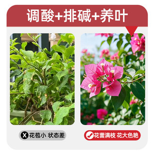 Bổ sung thực vật kiềm đa năng Gardenia Hydrangea Happy Leaf Điều chỉnh độ hòa tan trong nước kiềm Cải thiện hiệu ứng phân bón 2