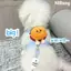 【Ready Stock】 Hamburger Dog Hand Holding Rope Dog Leash Anti-off Vest Traction Belt Dog Kittens Small Dog Teddy Bichon Pomeranian 8vdZ