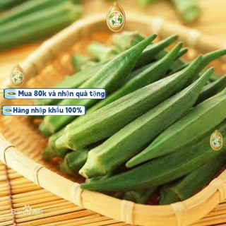 Hạt đậu bắp nhập khẩu từ Trung Quốc, khoảng 90 hạt/gói, giống lùn, năng suất cao, thích hợp trồng quanh năm, k008