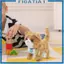 Meowing Walking Kitty Plush Toy Tail Wagging Đa năng cho trẻ mới biết đi 18x10x17cm với chức năng ghi âm Mô phỏng thú cưng điện tử