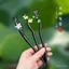 Ebony Tua Rua Kẹp Tóc Cổ Điển Trung Quốc Cao Cấp, Trang Sức Retro Phù Hợp Với Hanfu Bun