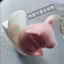 Squat Piglet Tư Duy Lợn Trang Trí Nhà Vệ Sinh Đối Tác Quà Tặng Sinh Nhật Máy Tính Để Bàn Trang Trí Nhà Heo Nhà Vệ Sinh Đối Tác