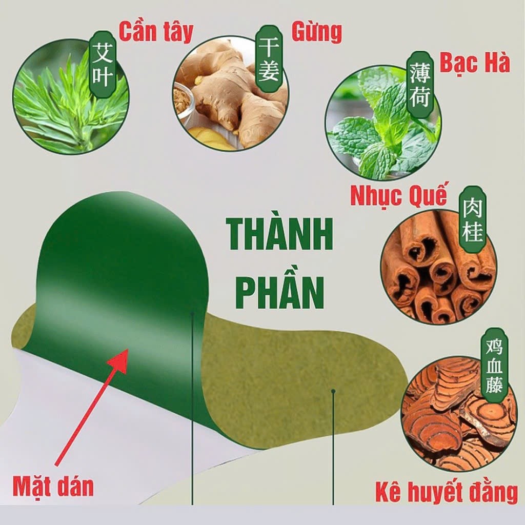 Combo 10 Hộp Miếng Dán Ngải Cứu Trị Đau Cổ Vai Gáy Toàn Thân Hộp 12 Miếng