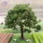HFTOY 1 Cái DIY Cây Ăn Quả Thu Nhỏ Trang Trí Cảnh Quan Thu Nhỏ Cát Bàn Xây Dựng Mô Hình Thực Tế Trang Trí Cây Quả ~