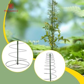 Vườn trong nhà Trellis Khung xoắn ốc bằng kim loại Hỗ trợ cây leo leo Tiết kiệm không gian Lưới sân vườn