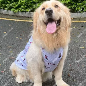 【Ready Stock】 Pet Dog New Skirt Gray Puppy Clothes Cute Large, Medium and Small Dogs Golden Retriever Automobiles Curtain Pull Decoration Shooting x4VE