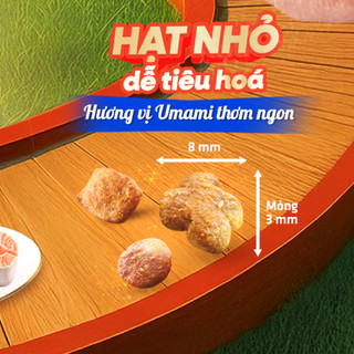 Thức ăn mèo trưởng thành dạng hạt Silver Spoon 1kg thương hiệu từ Nhật Bản